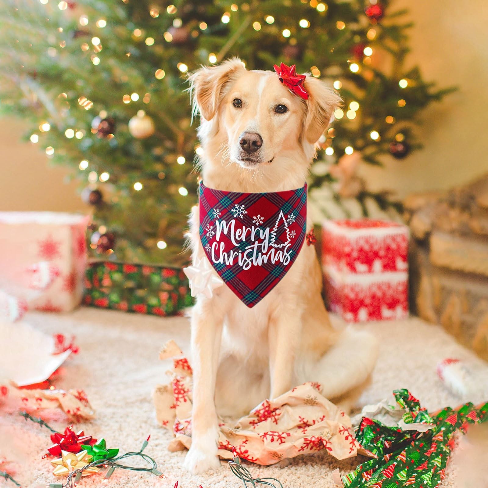 Christmas Dog Bandana 2 Pack, Classic Plaid Scarf Large, Merry