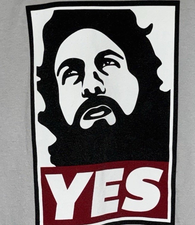 WWE Daniel Bryan Yes Movement Mens Gray Short Sleeve T-Shirt Size Large