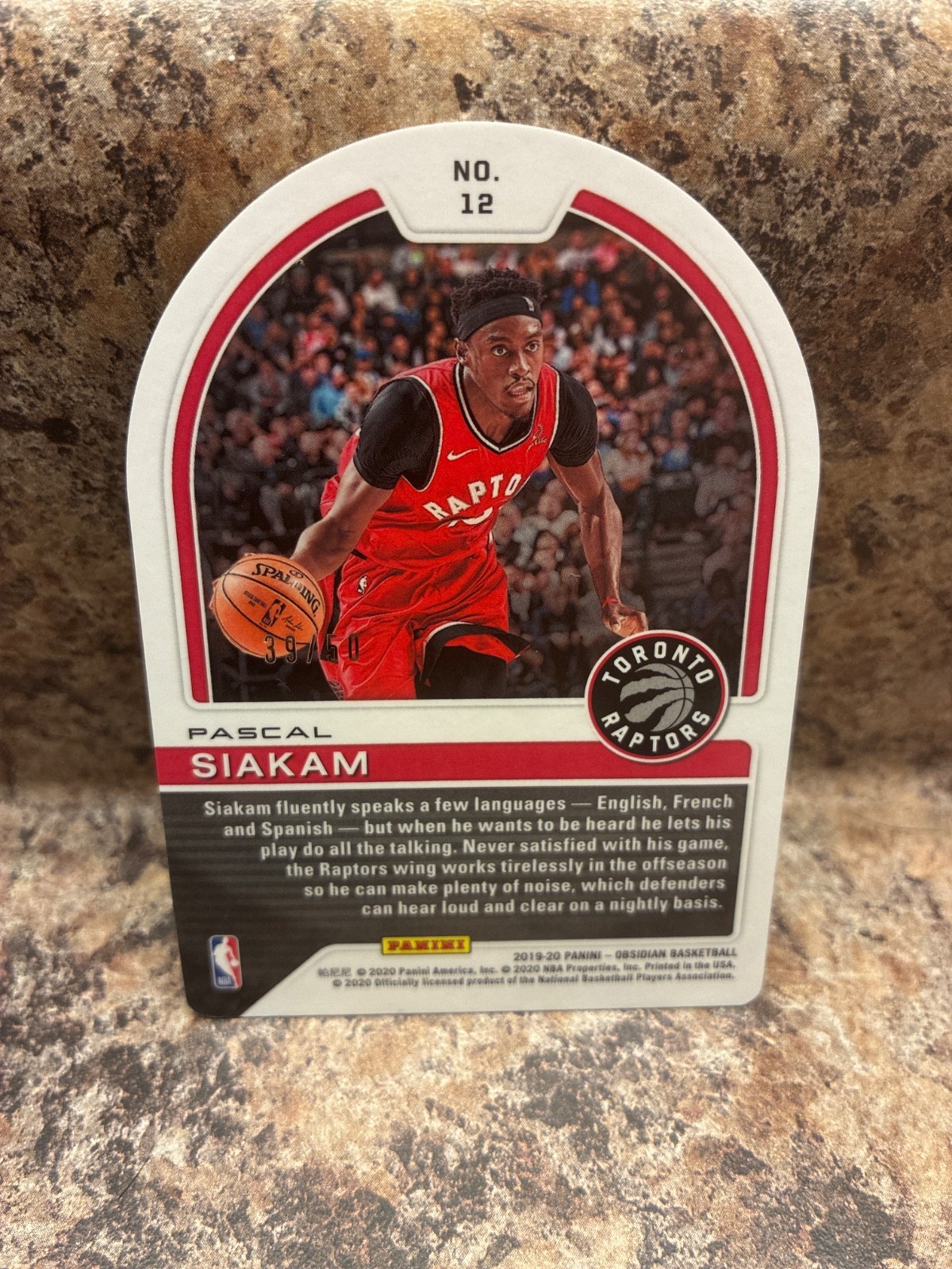 2019-20 Obsidian PASCAL SIAKAM “Tunnel Vision” #/50 PURPLE ETCH Die-Cut🔥#12