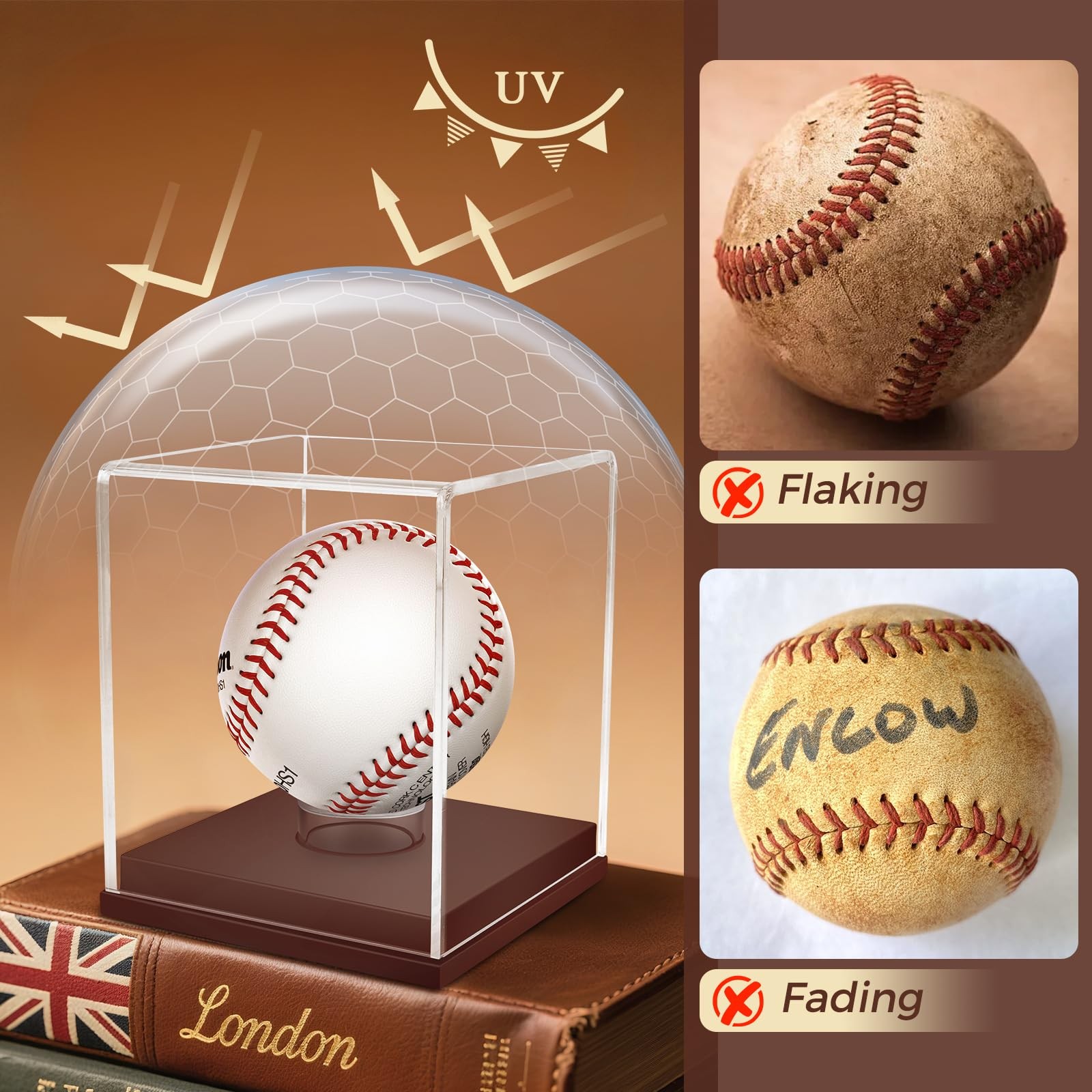 Softball Baseball Tennis Sports Ball Storage with Wooden Base Acrylic Display