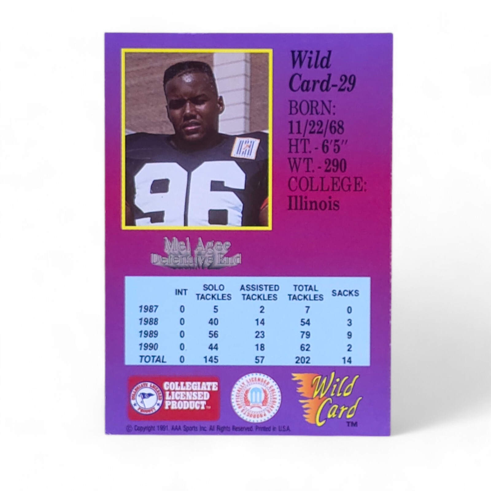 1991 AAA Sports Memorabilia Mel Agee #29