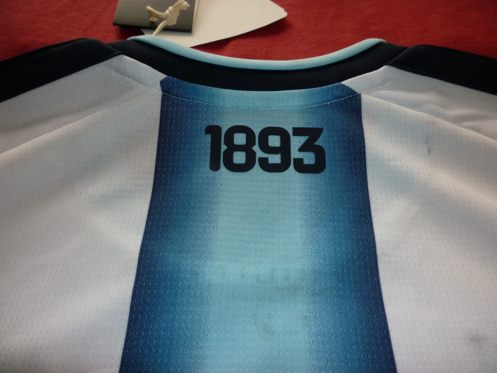 Adidas Argentina AFA FIFA World Cup 2022 Champions Home jersey-New