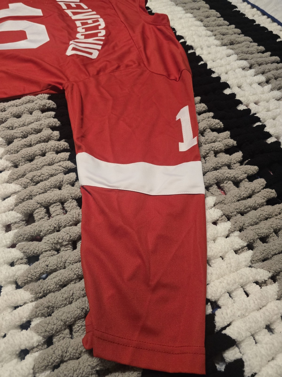Alex Delvecchio Autographed Detroit Redwings Jersey with COA LOOK!!!!!!!