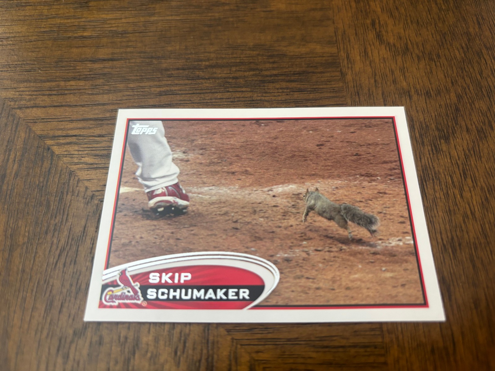 2012 Topps Skip Schumaker Squirrel Image Variation SP #93 St. Louis Cardinals