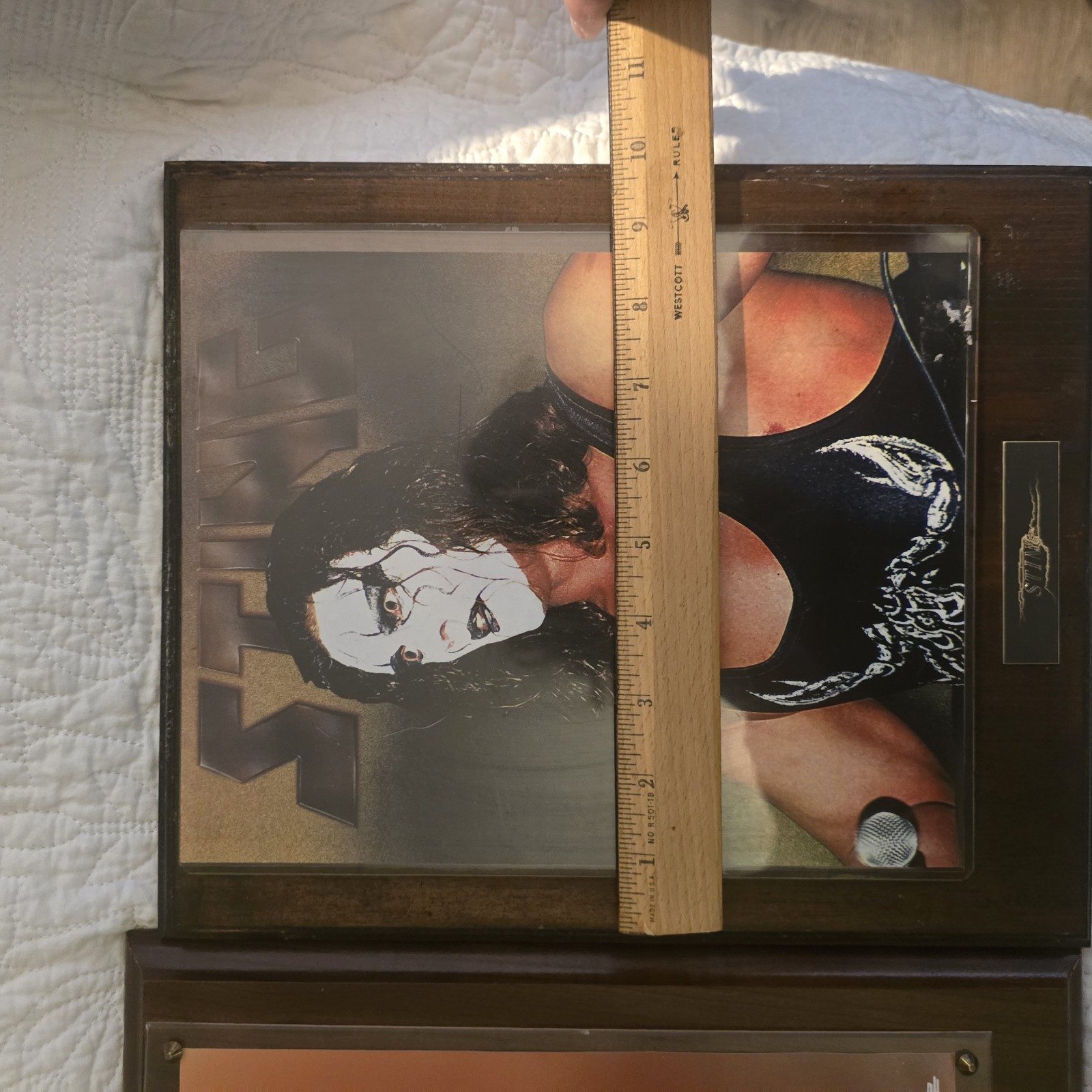 Wrestlers Kevin Nash And Sting Photo Wooden Plaque 11 X 13 NWO Acrylic Vintage