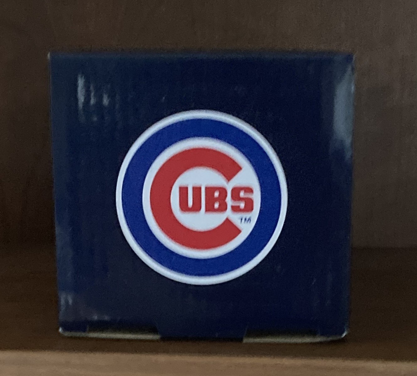 CHICAGO CUBS BILL MURRAY BOBBLEHEAD NIB (9/14/25 WRIGLEY SGA)!