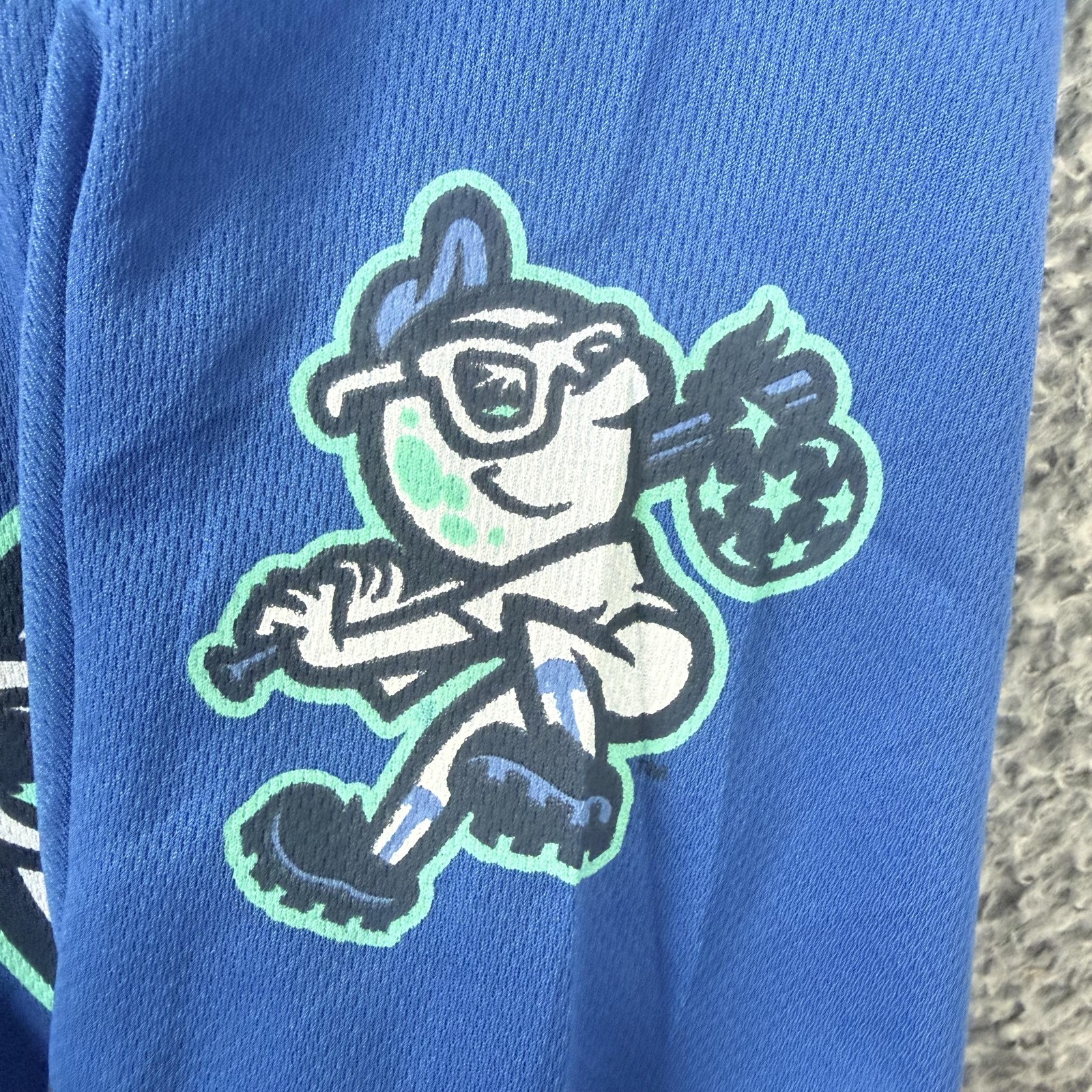 Asheville Tourists Jersey Mens Large Blue MiLB Baseball Promotional Adventures L