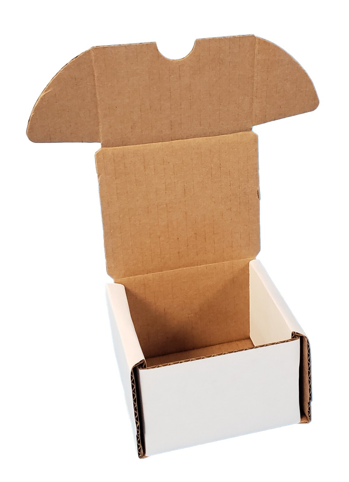 200 Count Cardboard Card Storage Box Perfect for Baseball, Football Cards & More