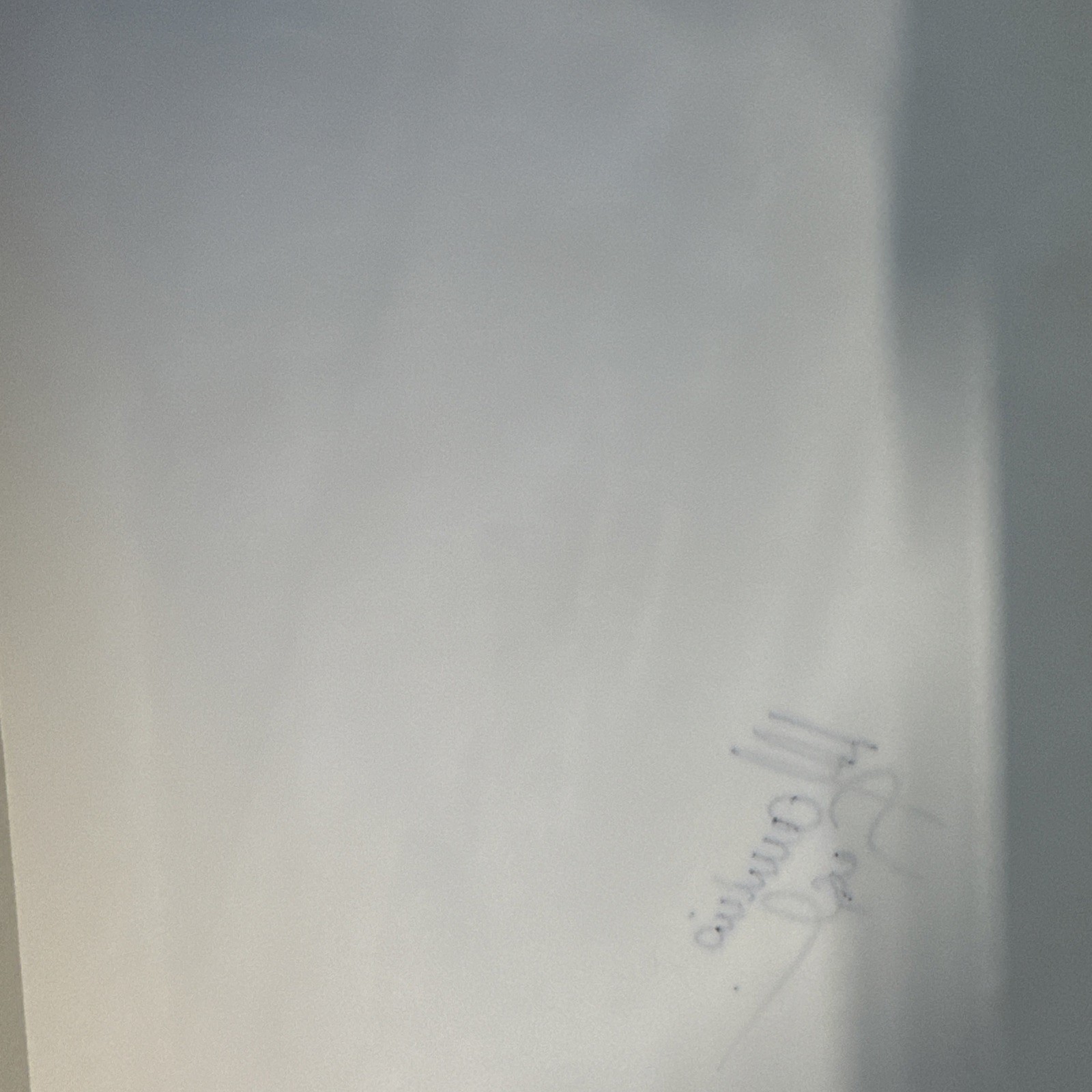 Mauricio Gugelmin Autographed Hand Signed 8″ x 12” Copier Page Print. See Below
