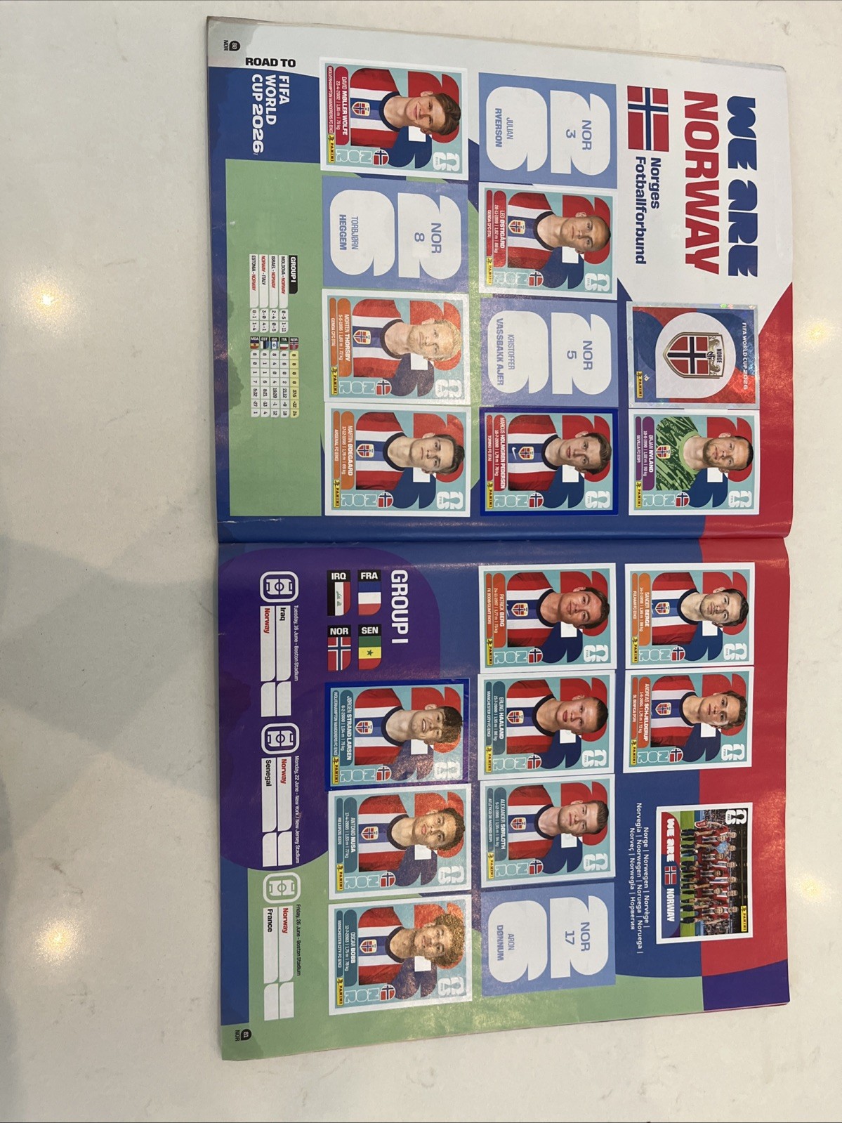 OFFICIAL Panini Sticker World Cup Album 75% Done 210 dollar value some rips