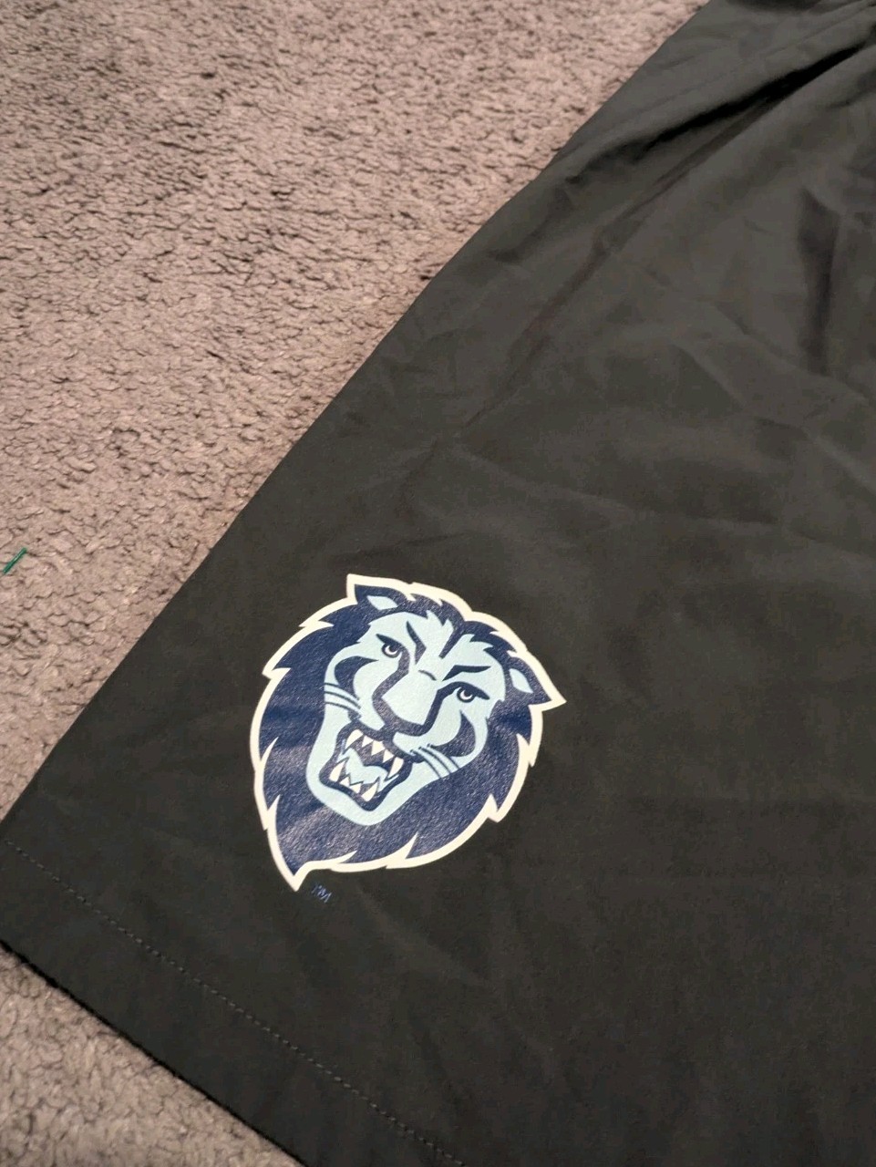 Nike Columbia University Lions Ivy League 9″ Gray Shorts AQ3496-060 Men’s XL