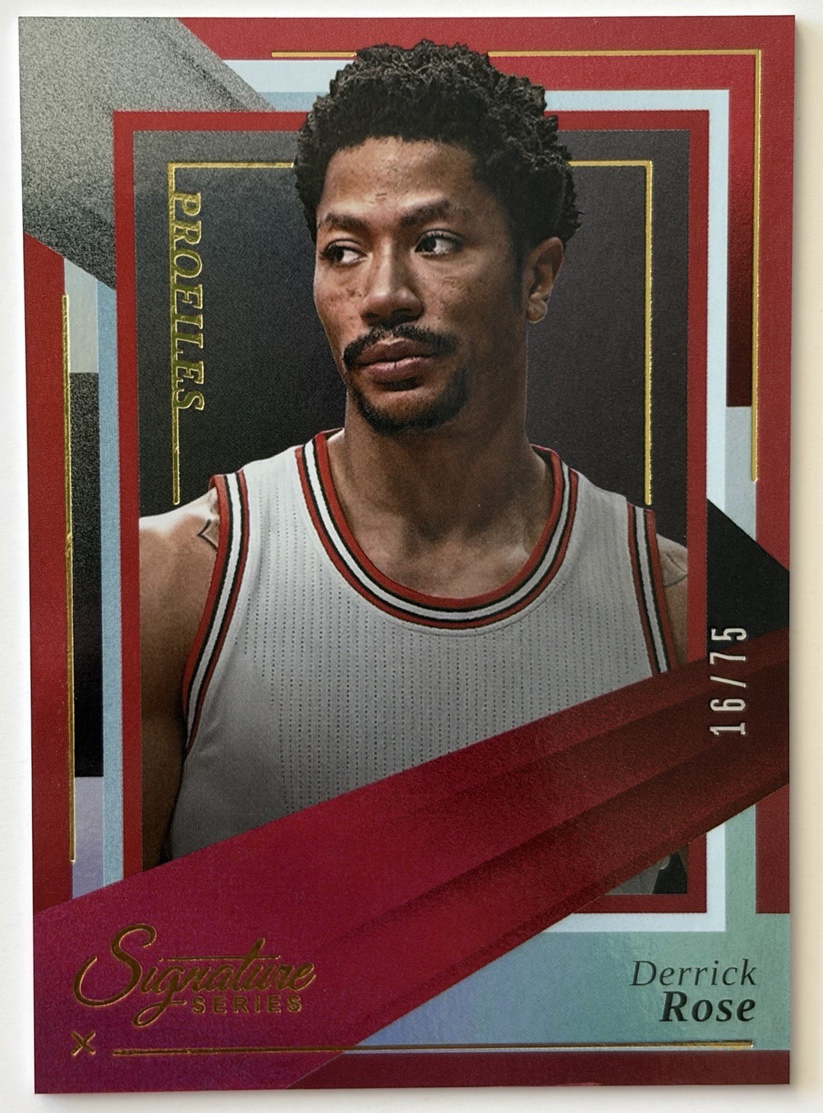 2025-26 Panini Signature Series Profiles Derrick Rose #16 Chicago Bulls /75