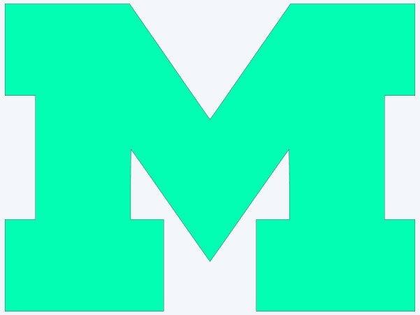 UofM Michigan Block M Vinyl Decal Sticker – You choose color and size