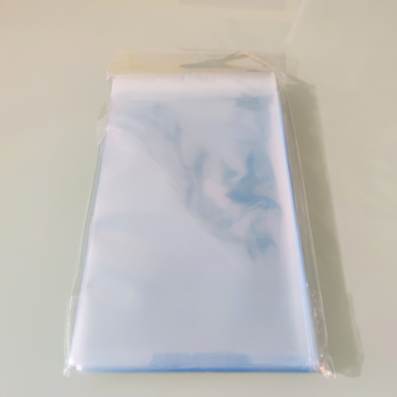 BCW Graded Card Sleeves Bags Pack of 100 Resealable PSA CGC BGS Beckett SGC Slab