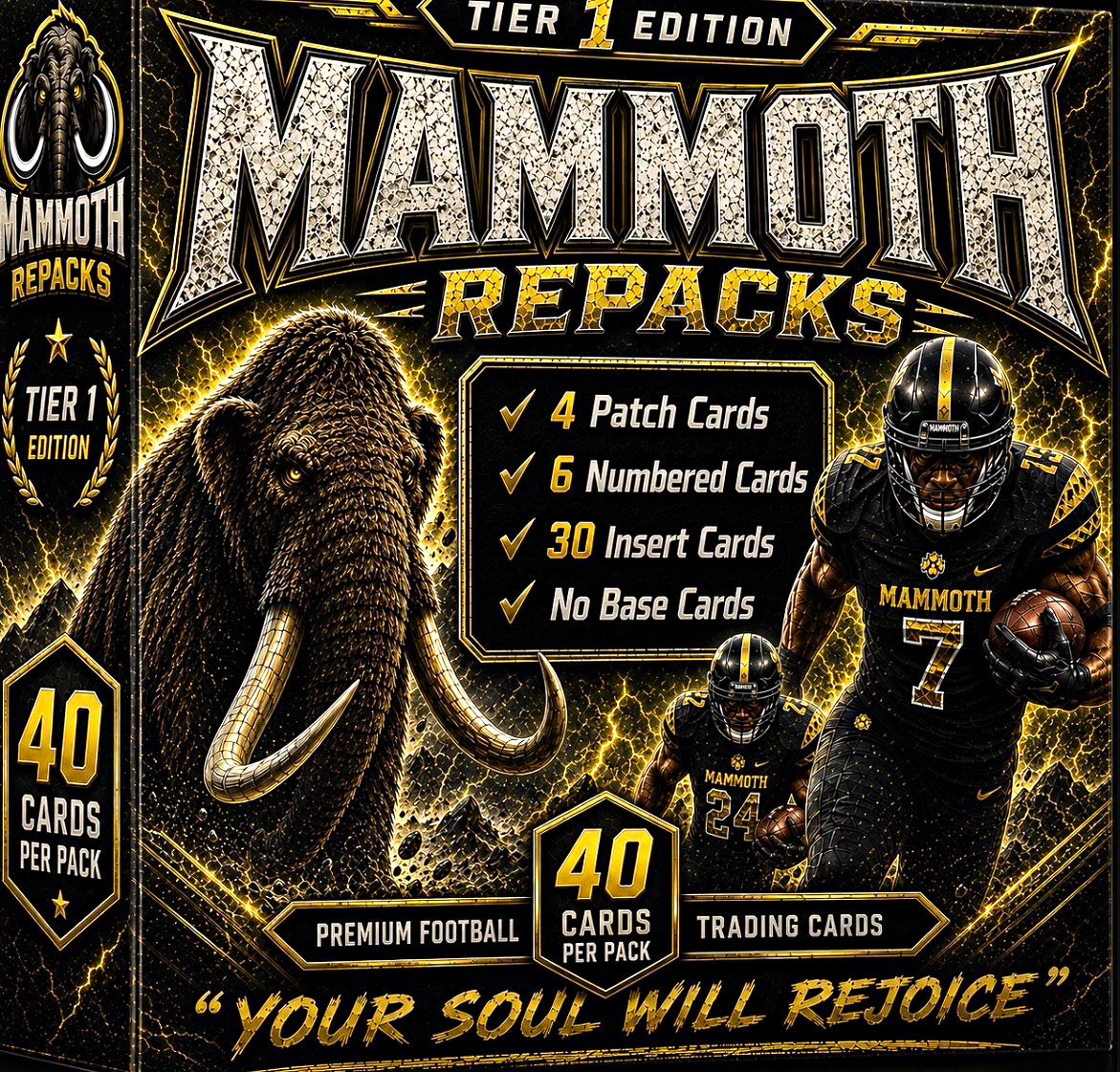 Mammoth Repacks Football 40 Cards: inserts, 4 patches, 6 #d, good rc, case hits