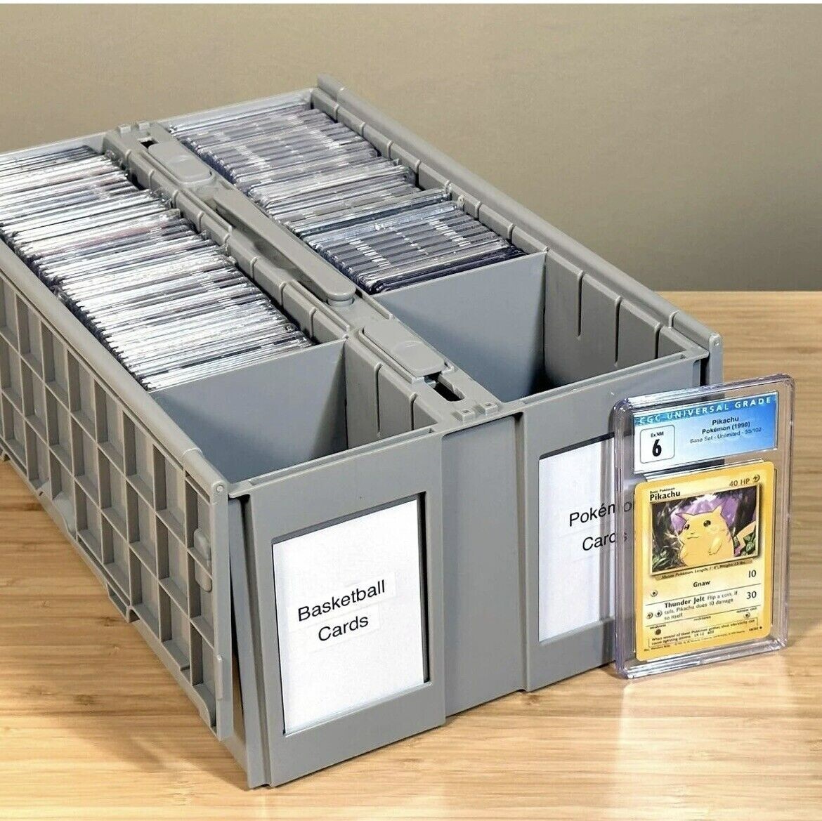 High Quality BCW 2 Row Graded Card Bin – NEW