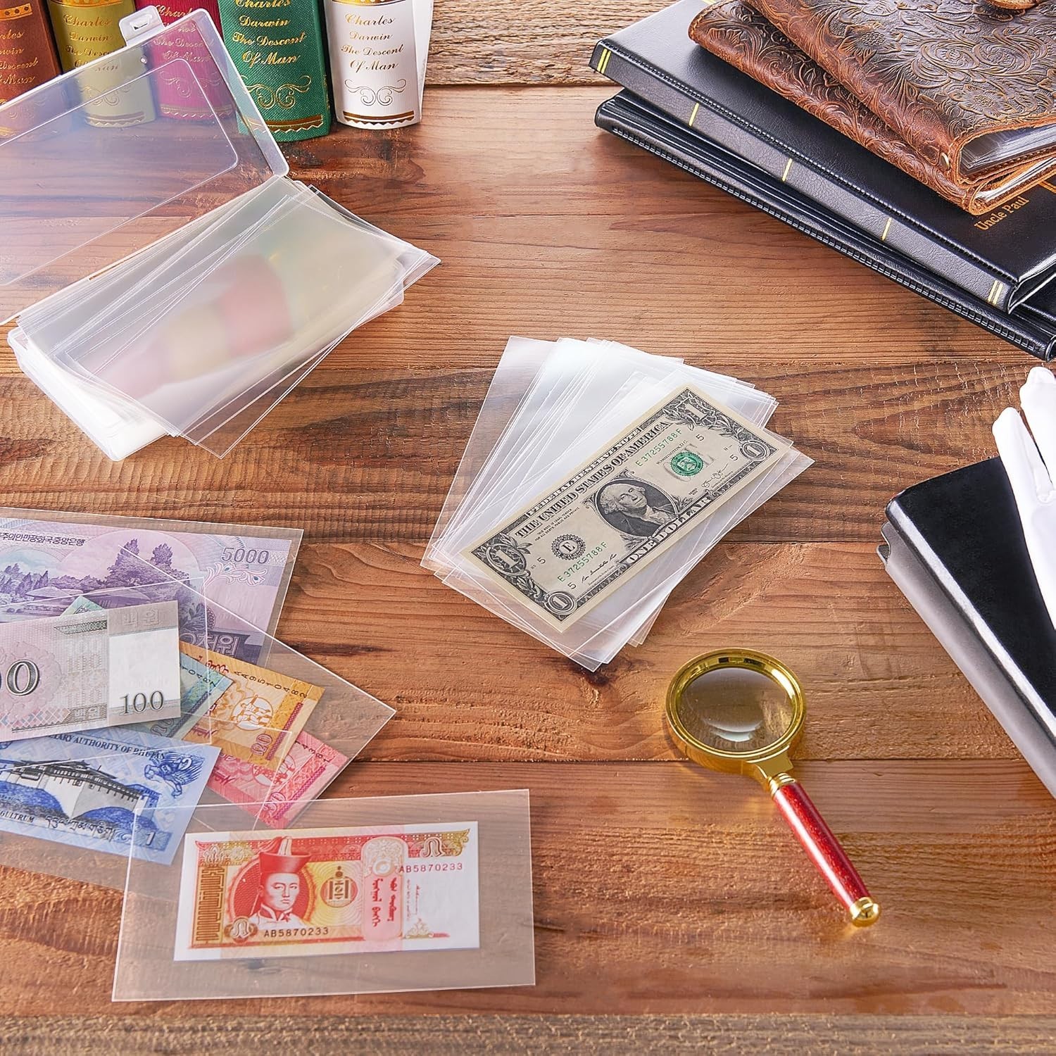 100 Pcs Clear Currency Sleeves with Storage Box for Banknotes & Stamp Collection