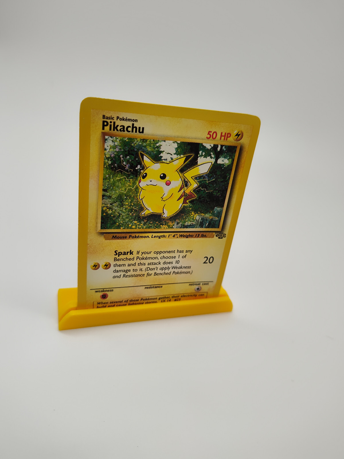 Top Loader Trading Card Display Stand: 5 PACK – SELECT COLOR