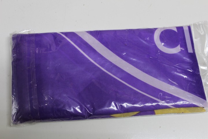 NEW Orlando City SC Logo Football/Soccer Flag 3×5