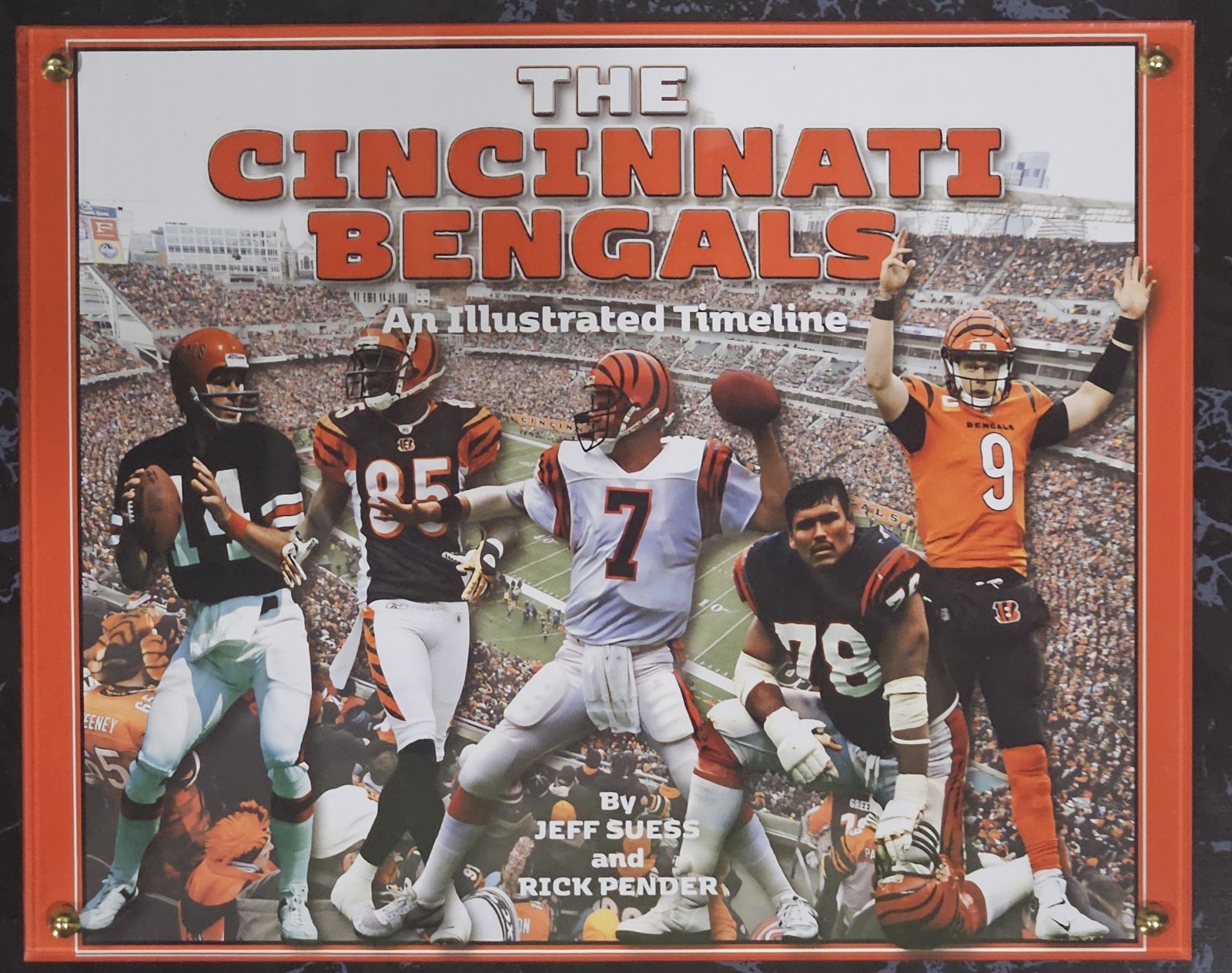 Cincinnati Bengals 10.5×13 Inch Plaque Brand New All Time Greats