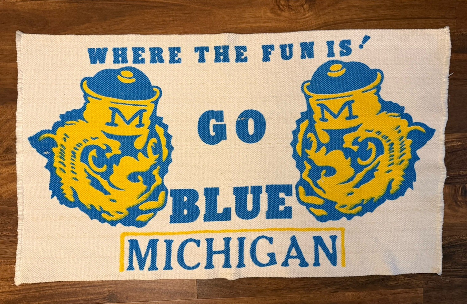 Vintage RARE Michigan Wolverines GO BLUE Tapestry Rug Banner Washable 42”x24”