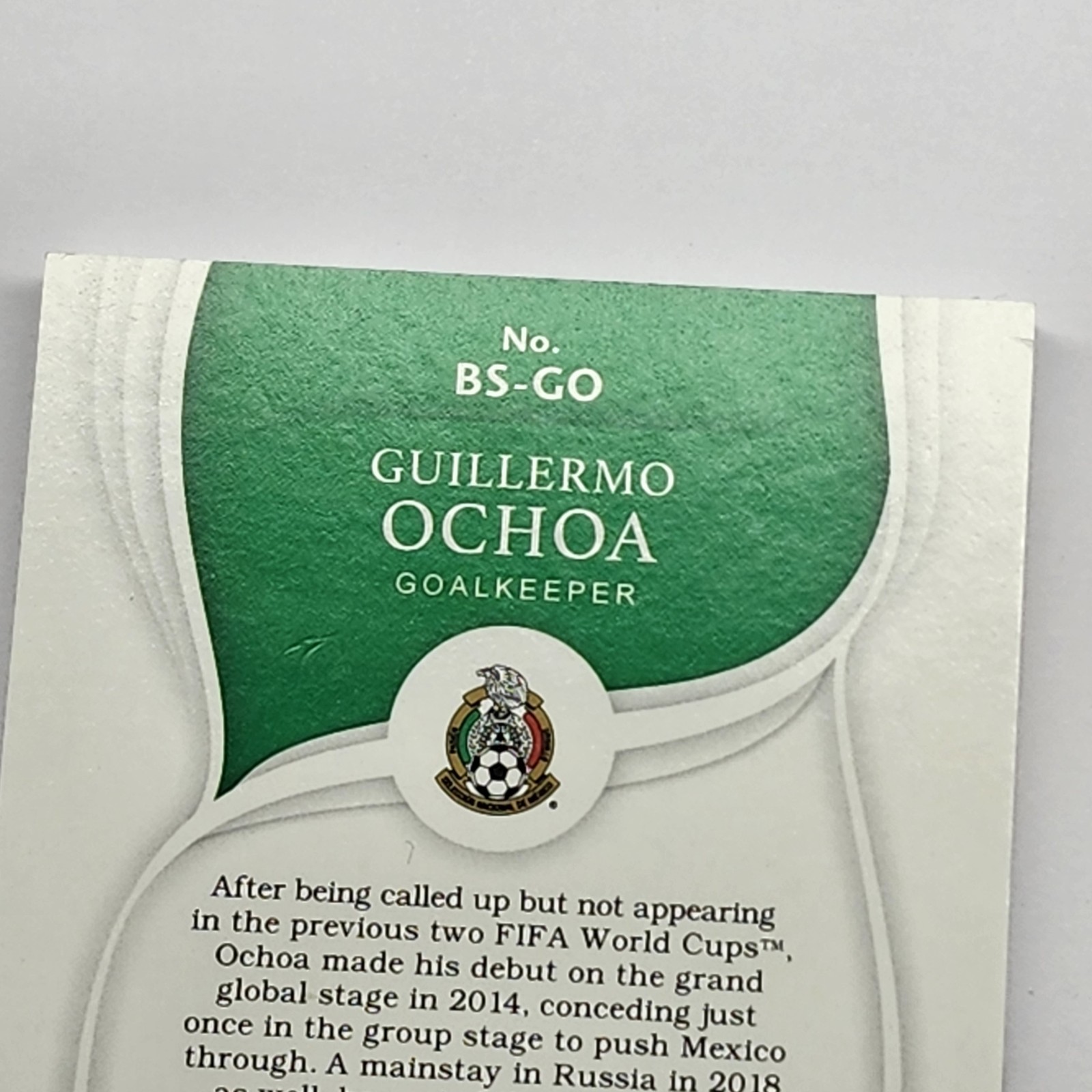 Guillermo Ochoa NIKE LOGO 2018-19 Panini Immaculate Mexico Boot Patch Auto /15