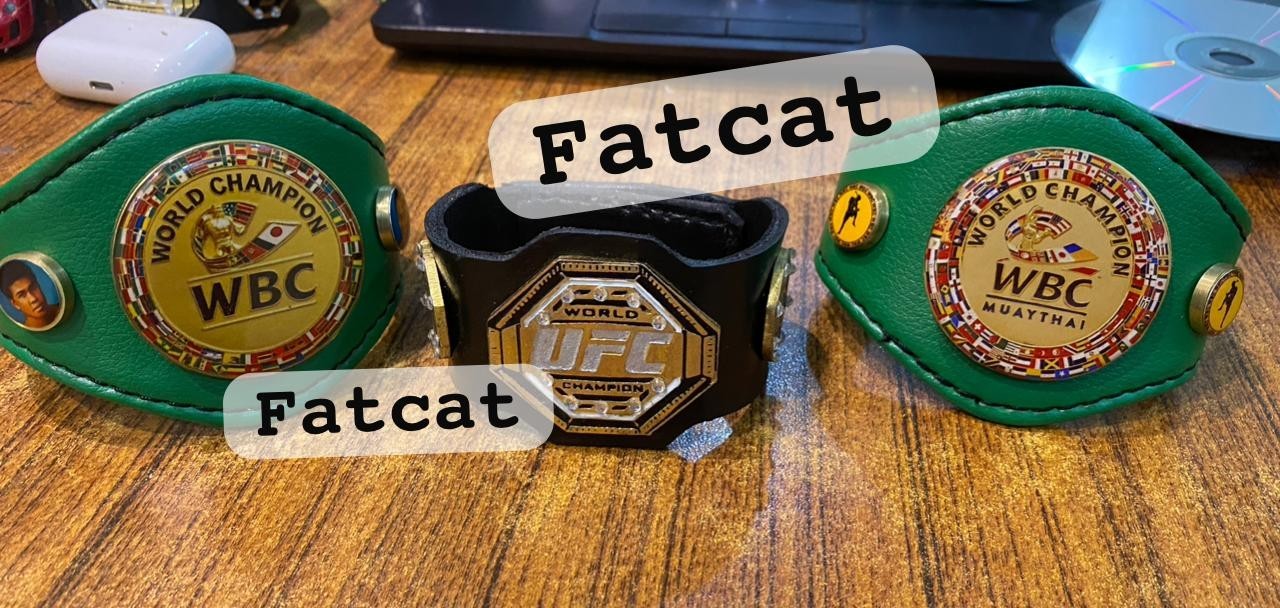 MIni UFC ,WBC ,WBC Muaythai Hand band Boxing Belt (Set OF 3) Size (3 * 10.5)inch
