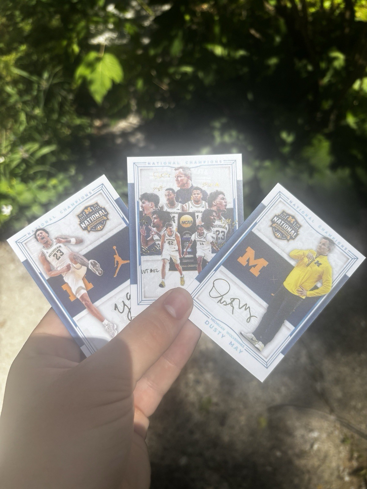 Michigan Wolverines Basketball Card Set National Champions Lendeborg, May, Team!
