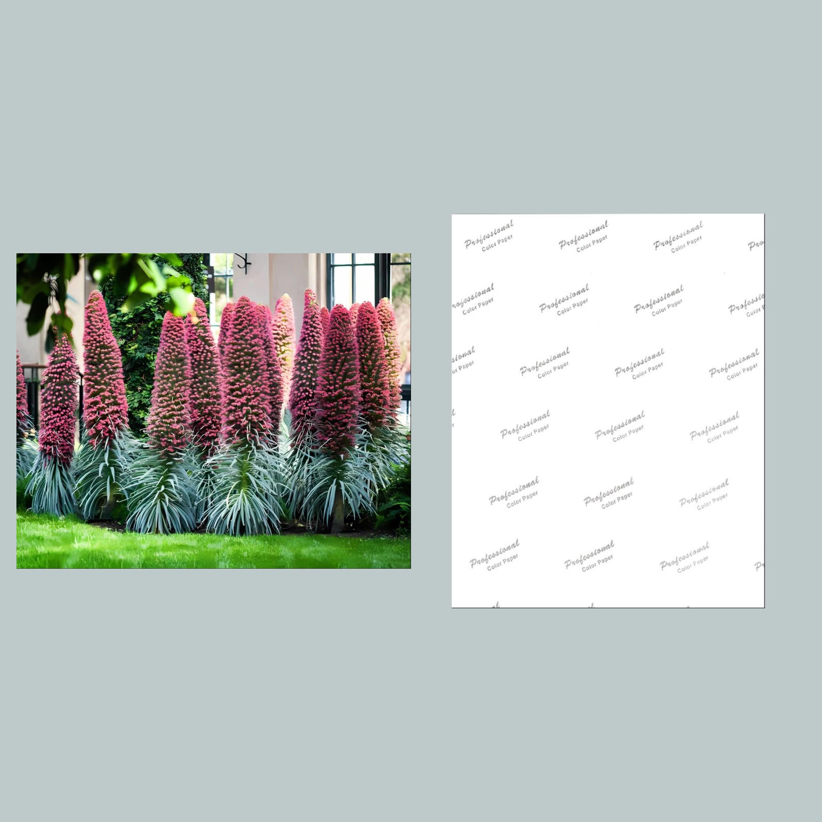 #1080 P-8X10 Flowers – Tower-of-Jewels 8×10 Glossy Photo Other Card