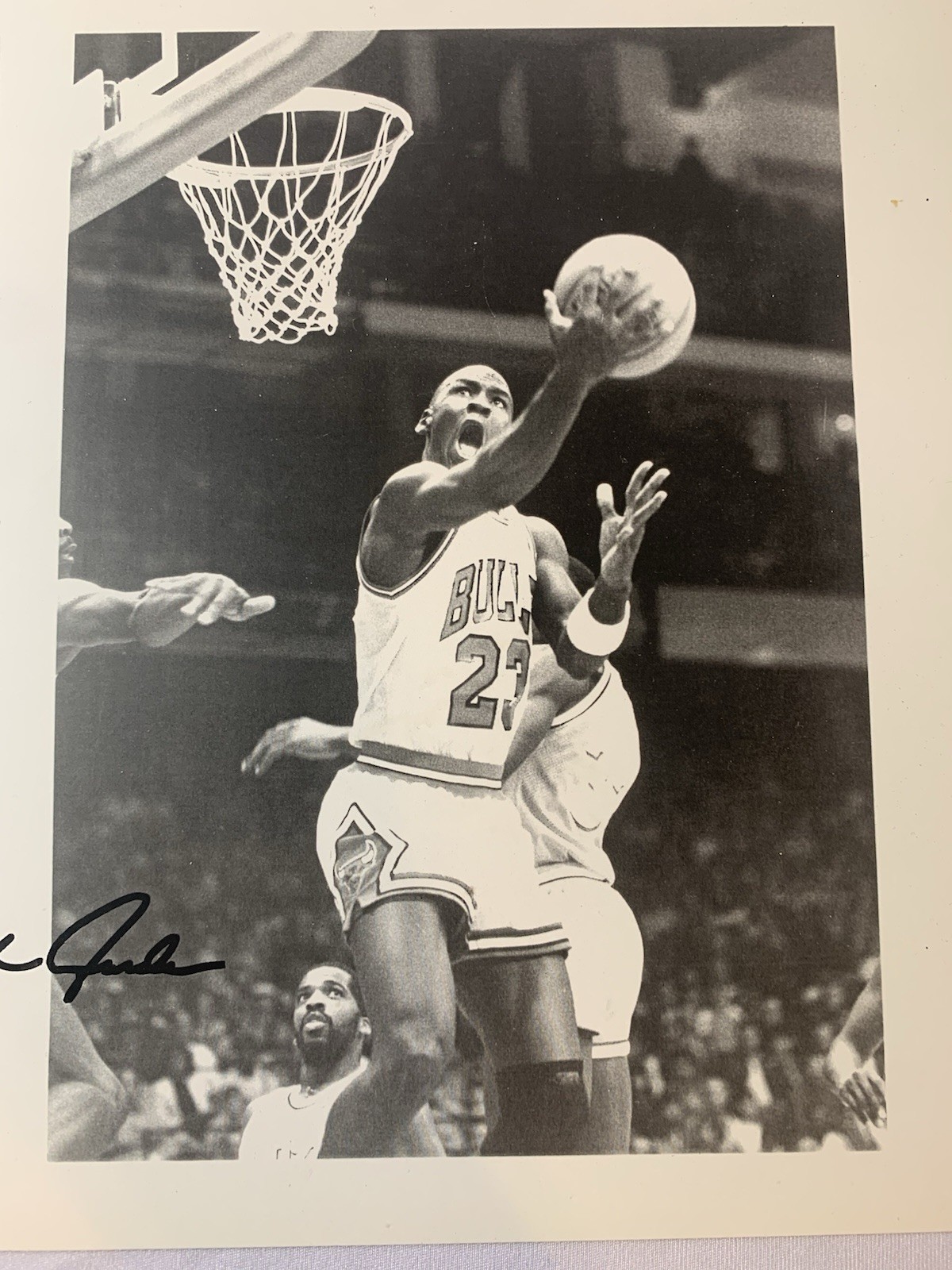 Vintage Chicago Bulls Michael Jordan black & white basketball photo 8x10in.