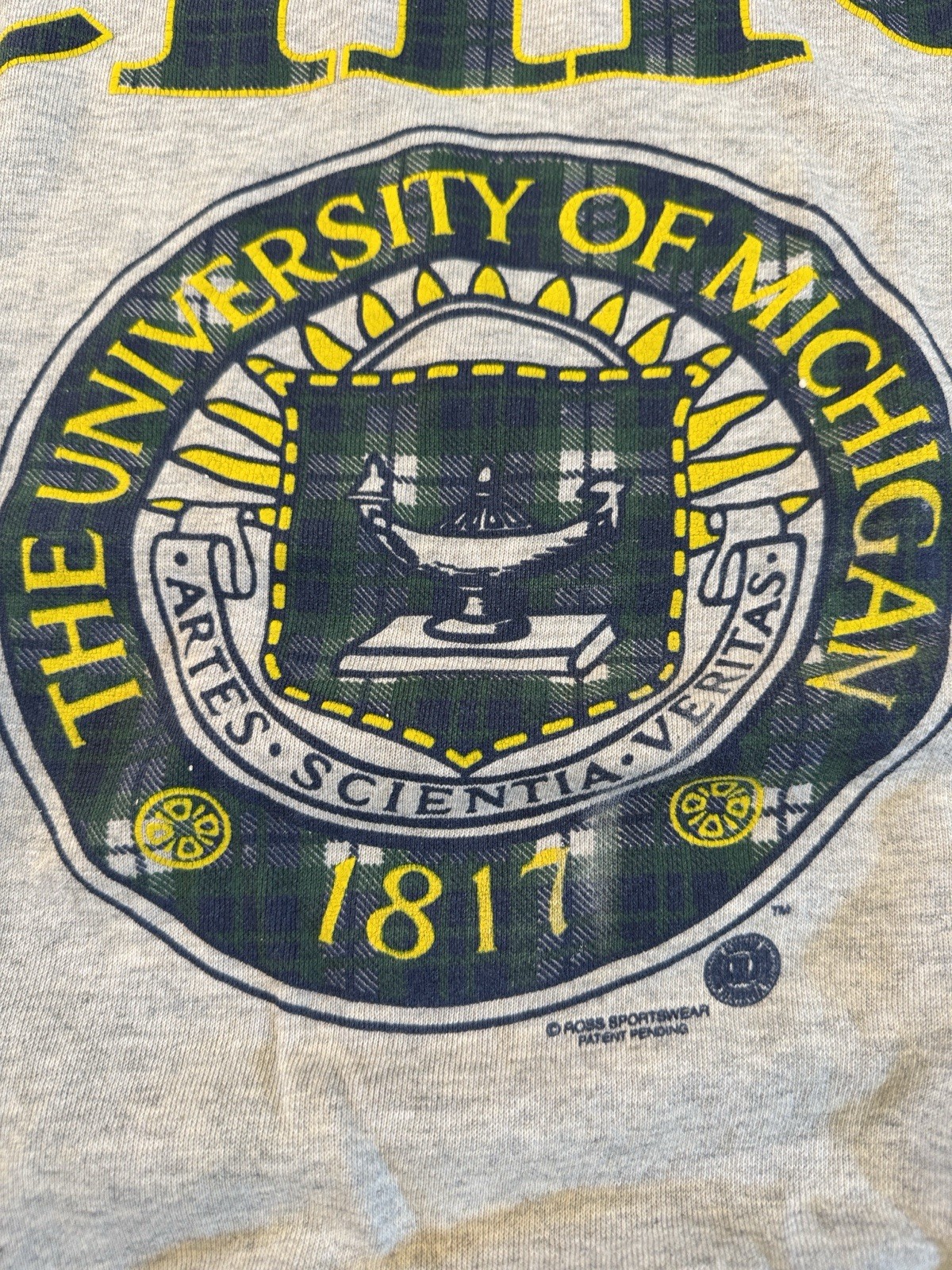 Vintage-University of Michigan-Wolverines-80s Plaid-Sleeve Spellout Sweatshirt