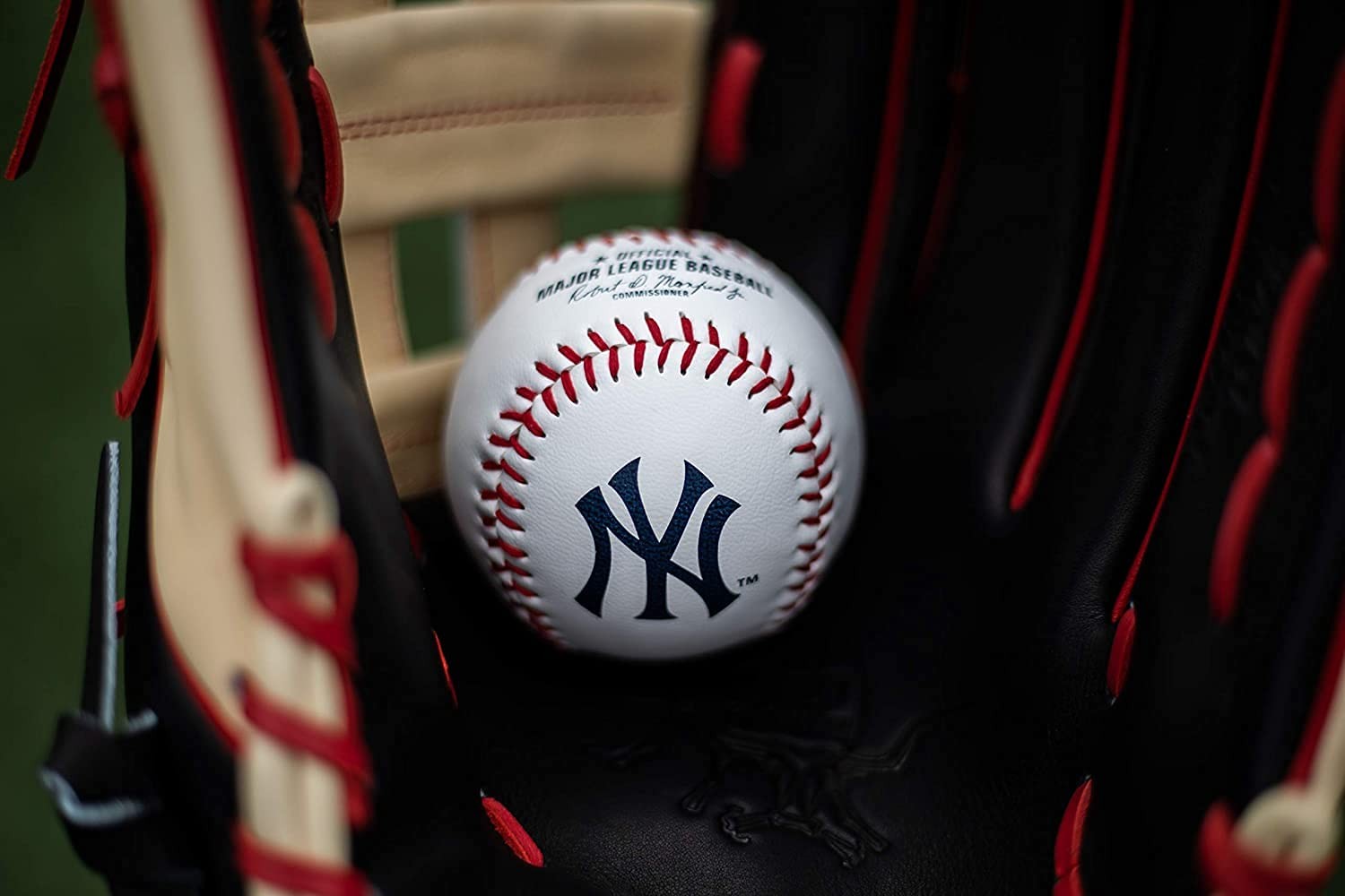 MLB New York Yankees Team Logo Baseball, White, 1