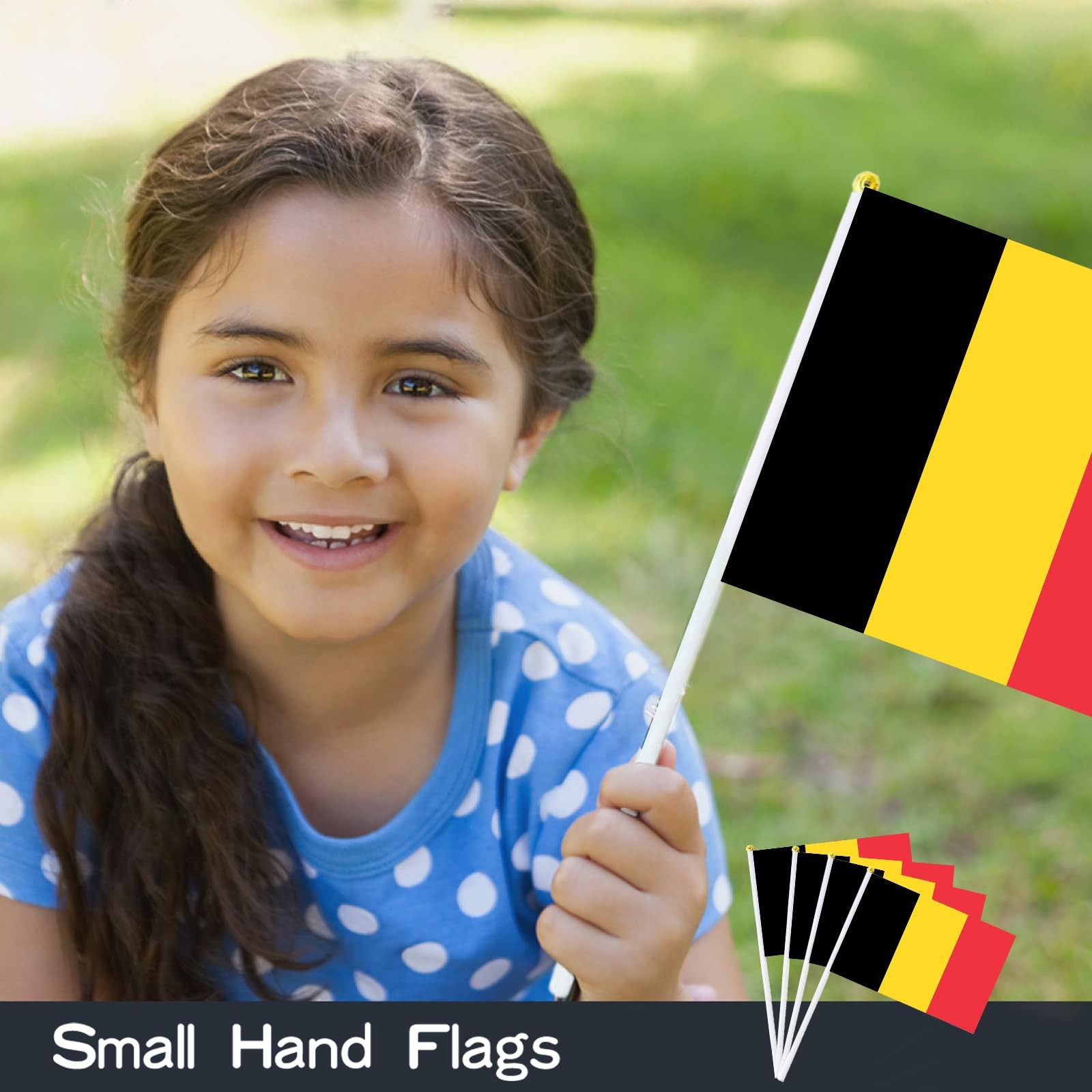 AhfuLife 30 Pcs Belgium Hand Held Flags for World 5×8 Inch-30 Pcs,
