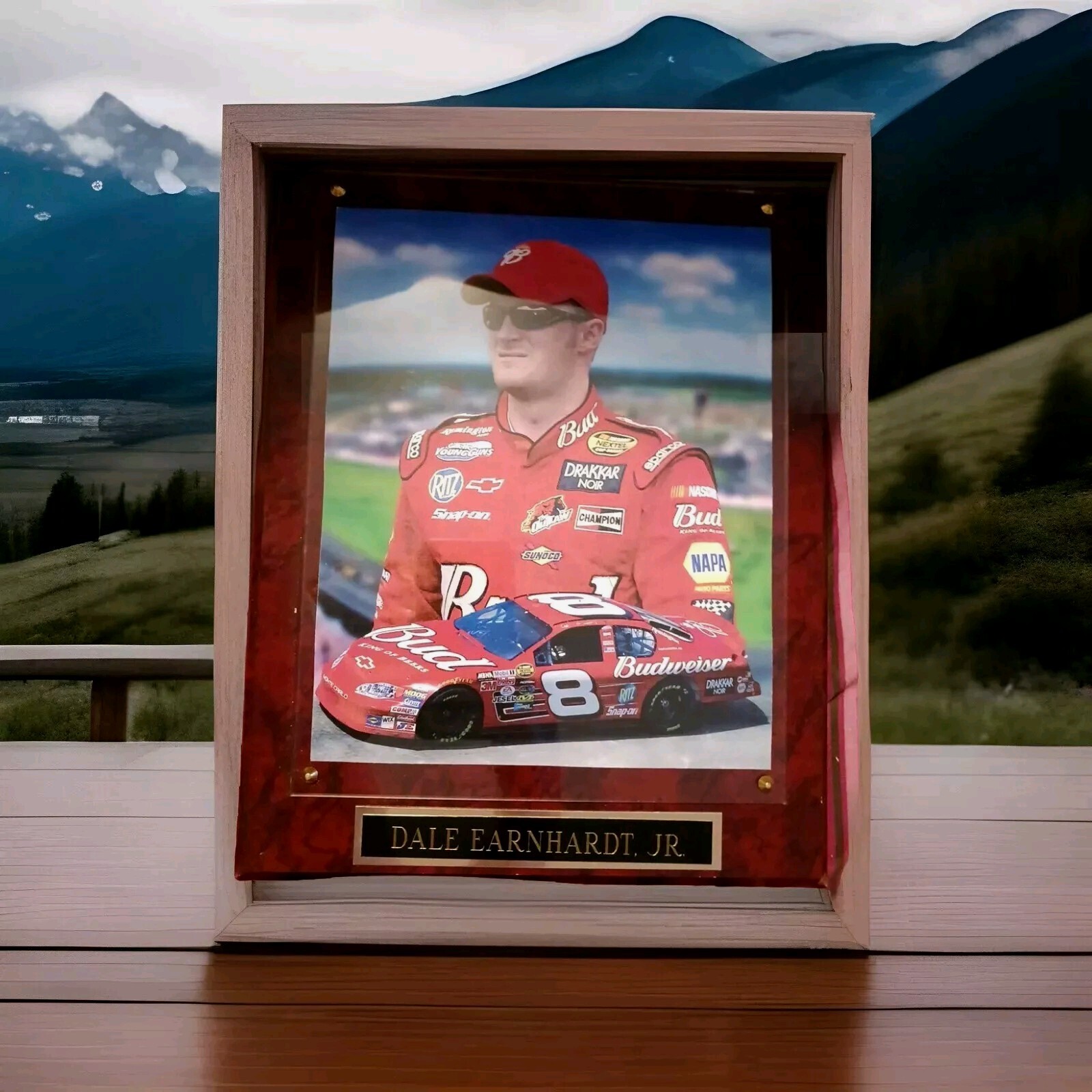 NASCAR Dale Earnhart JR.#8 BUDWEISER 10.5 inch×12.5 inch Plaque. Nice Condition