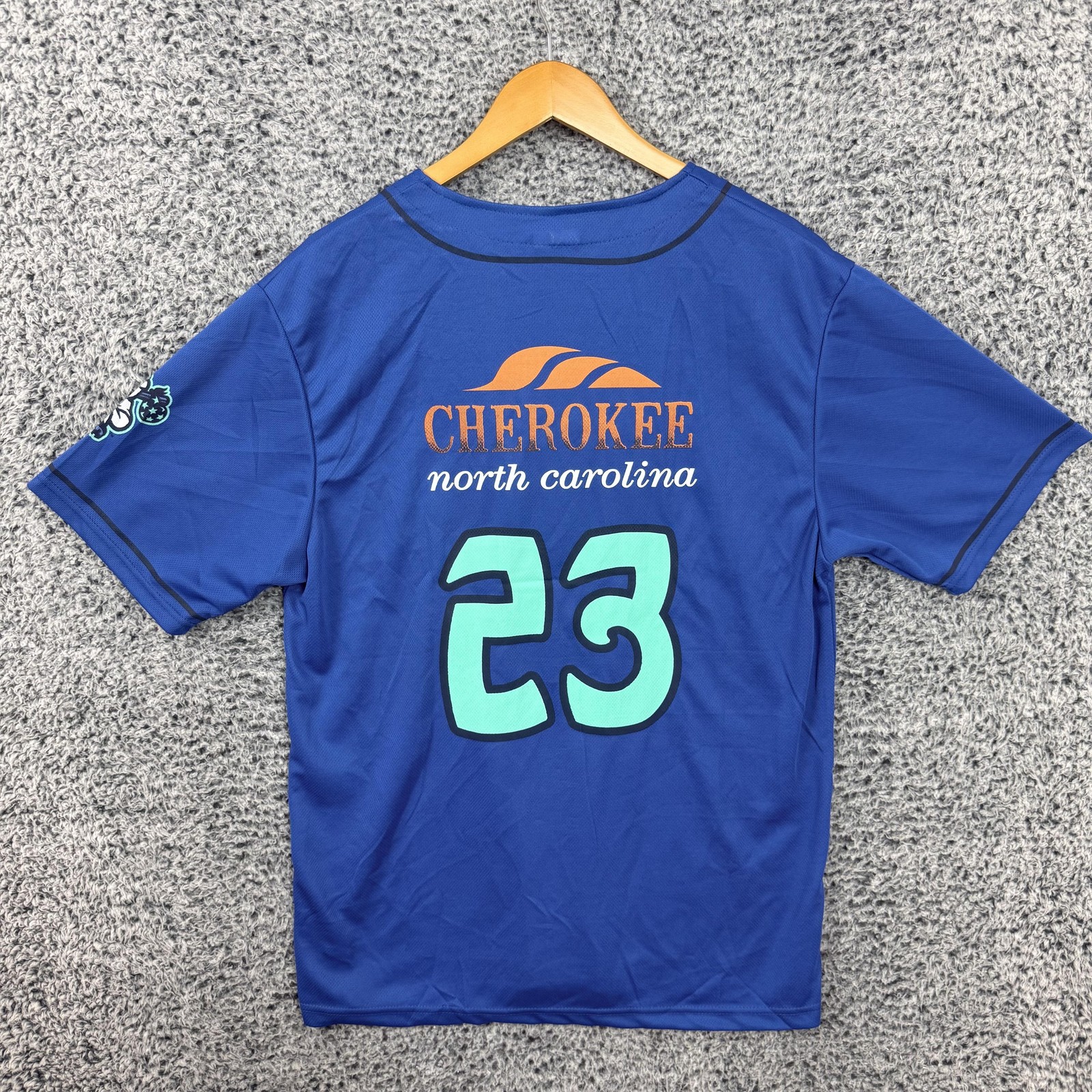Asheville Tourists Jersey Mens Large Blue MiLB Baseball Promotional Adventures L