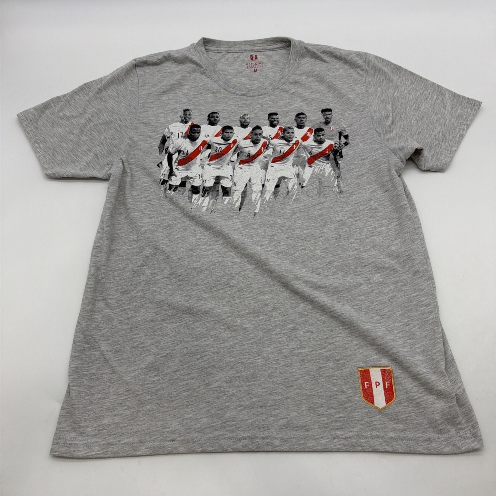 FPF Official Licensed Product T-shirt Youth Boys M Gray Graphic Print Logo.42625