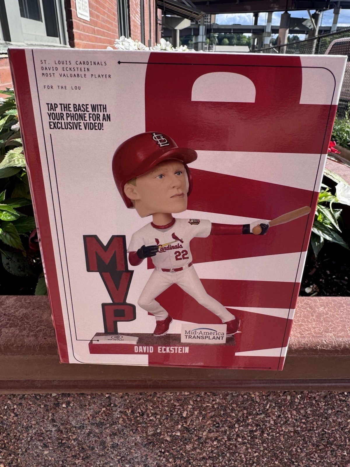 ST. LOUIS CARDINALS DAVID ECKSTEIN 2006 W.S. MVP BOBBLEHEAD 7-11-26 SGA PRESALE
