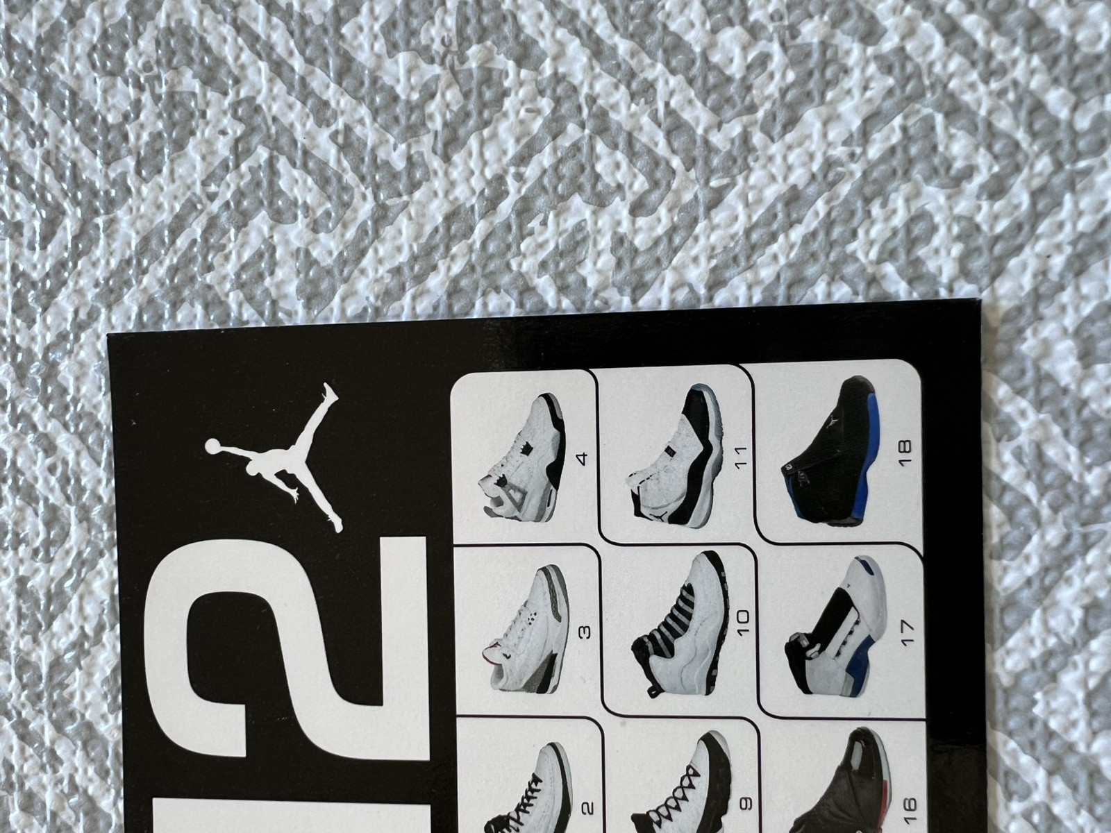 NIKE Air Jordan XII 12 Retro Shoe Box Card Insert Michael Jordan 4×6”