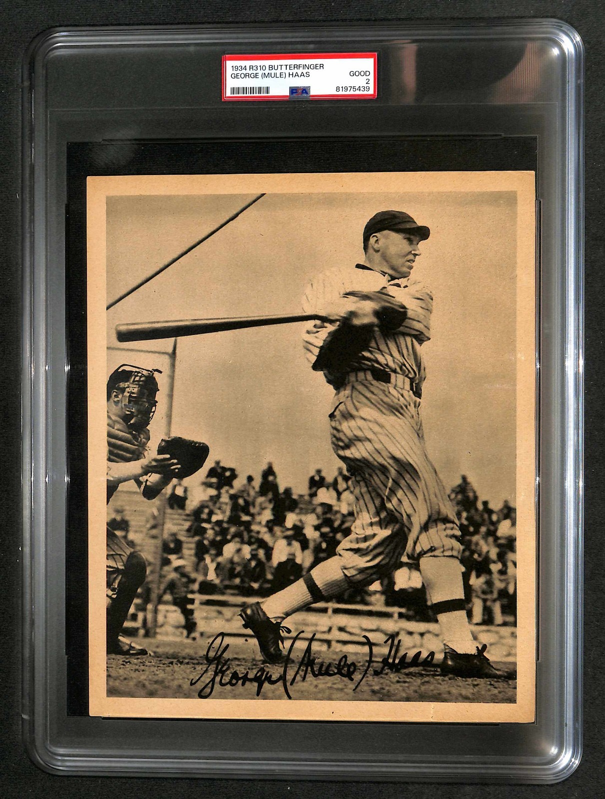1934 R310 BUTTERFINGER GEORGE (MULE) HAAS – PSA 2 GD