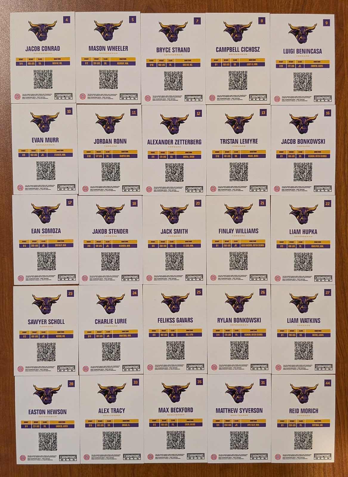 Minnesota State (Mankato) Mavericks Champions Deck 2025-26 Base Cards