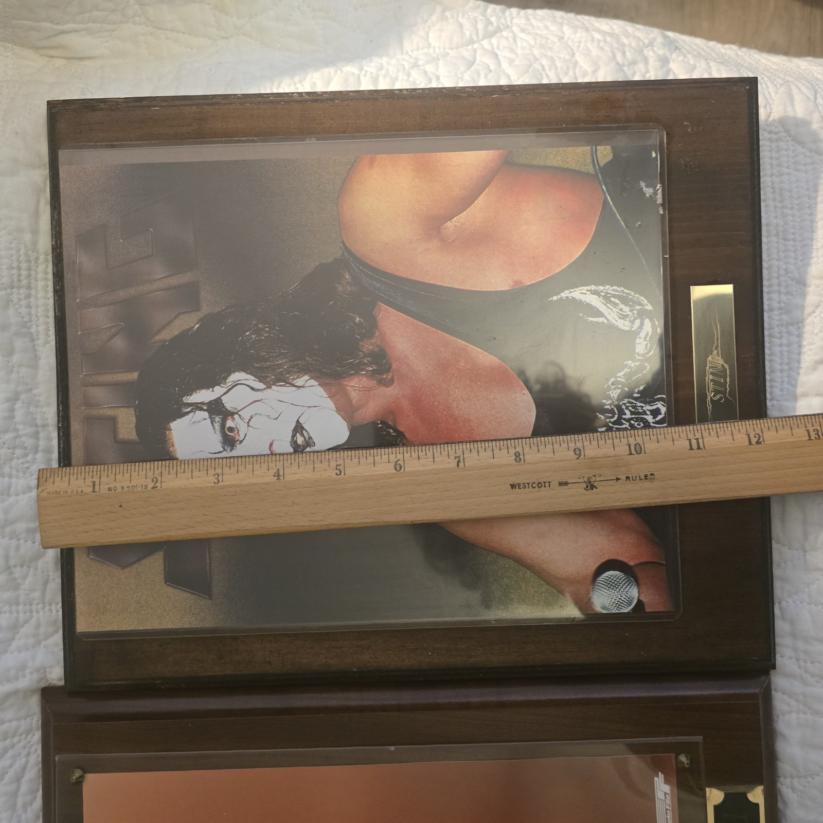 Wrestlers Kevin Nash And Sting Photo Wooden Plaque 11 X 13 NWO Acrylic Vintage