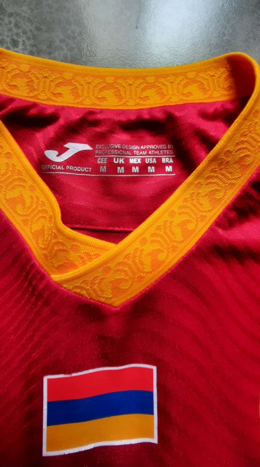 Pyunik Yerevan Armenia 100% Original Official Football Jersey T-Shirt 2025–26