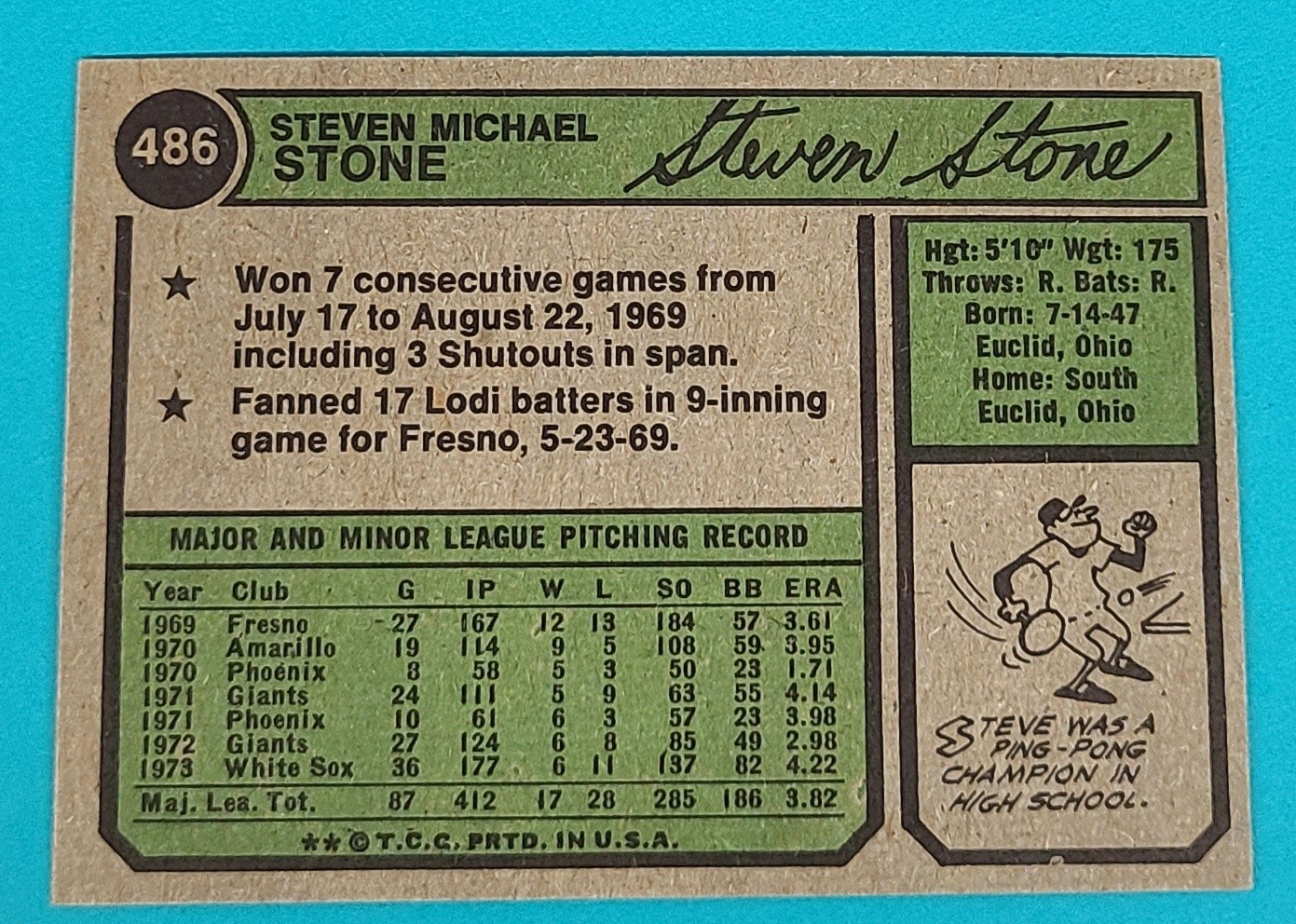1974 Topps #486 Steve Stone Chicago White Sox Baseball Card H5