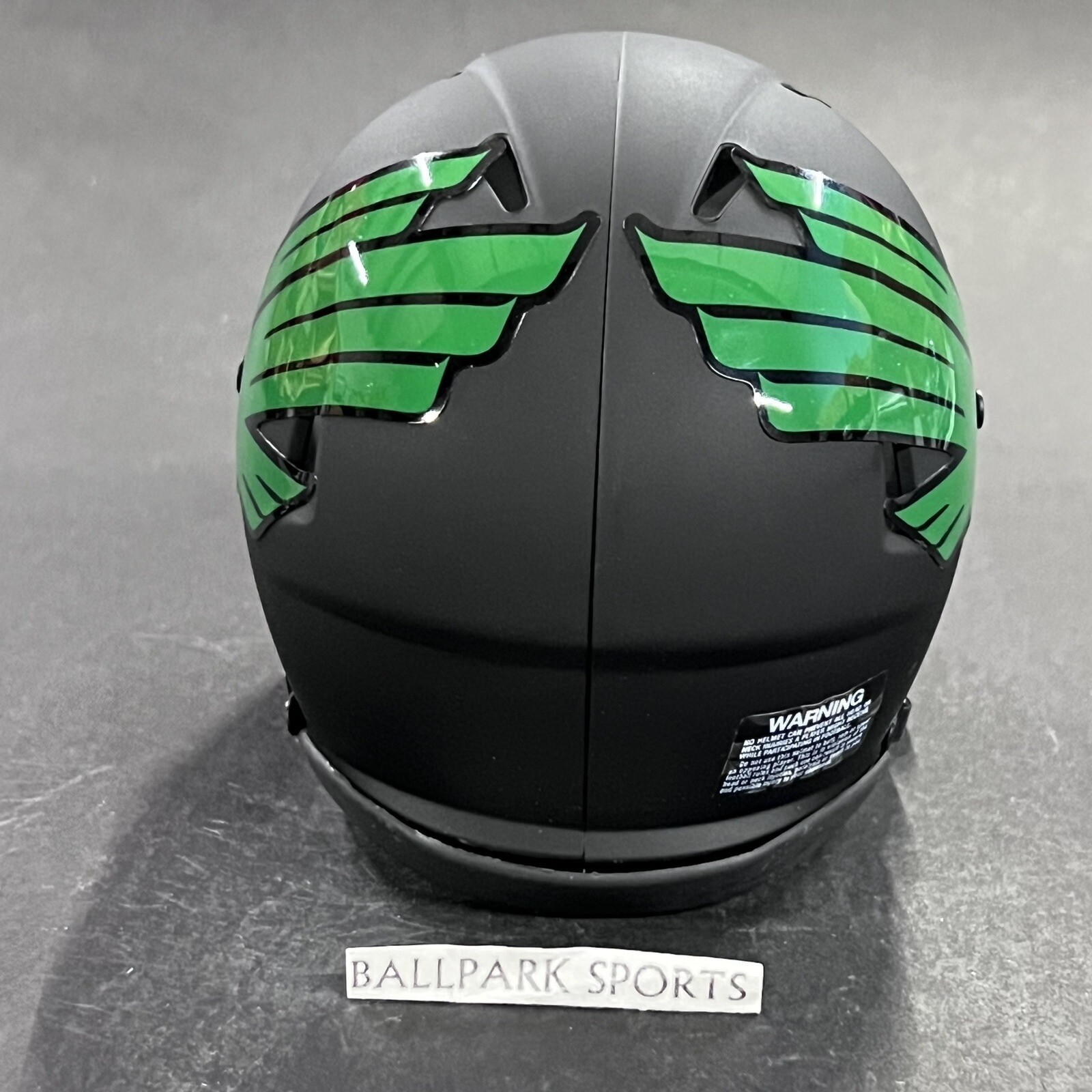 North Texas Mean Green Speed Mini Helmet Riddell NCAA Matte Black New!