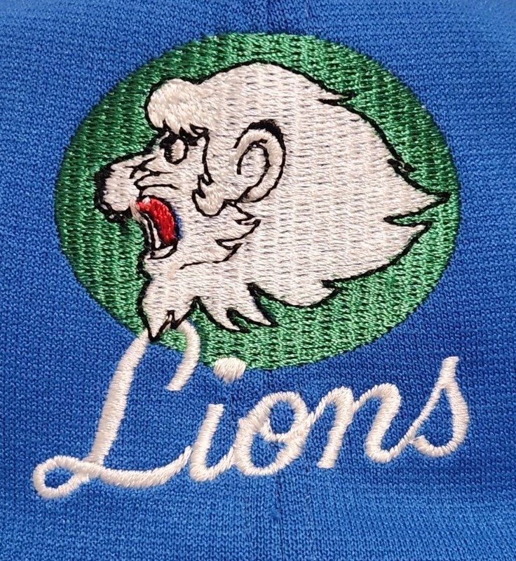 VTG Saitama Seibu Lions Japan Baseball Cross Cap Adjustable Hat LL NPB Blue