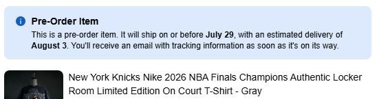 New York Knicks Nike 2026 NBA Finals Champions Authentic Locker Room T-Shirt L