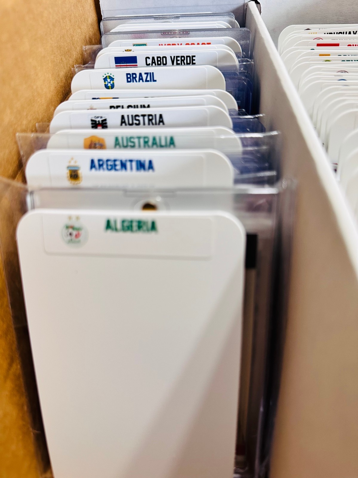 (48) TALL Sports Card Dividers with 48 FREE World Cup 2026 Team Labels