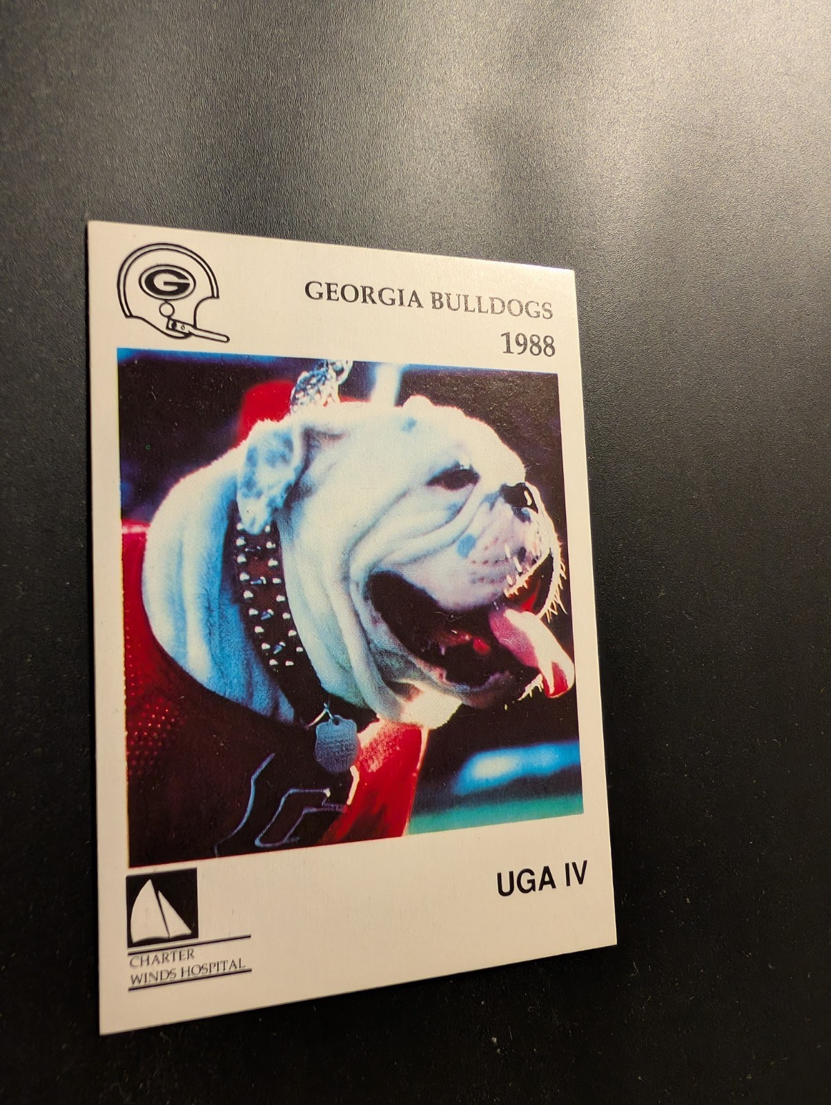 1988 McDag Georgia Bulldogs Uga IV #1 – Bulldog Mascot – Low Pop!