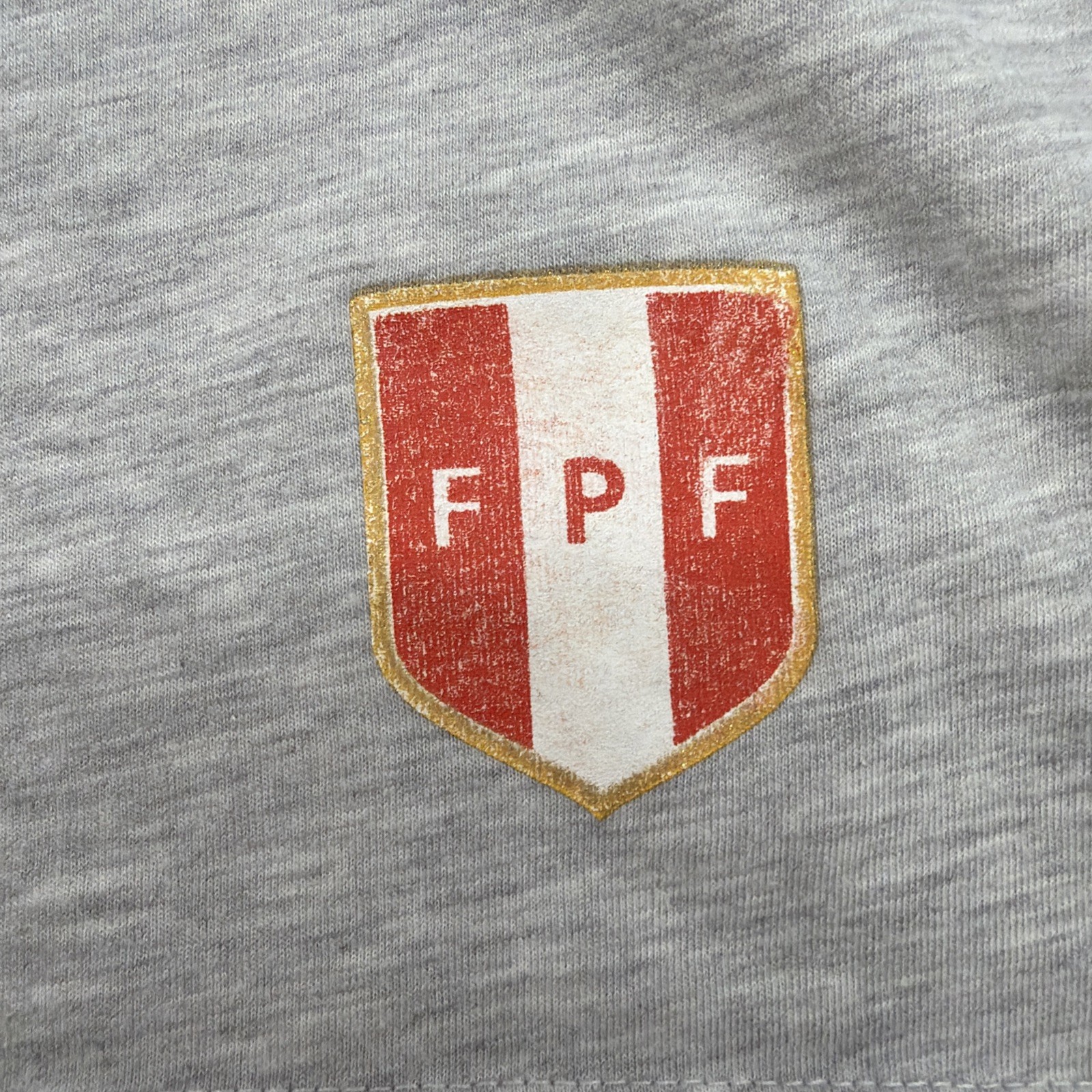 FPF Official Licensed Product T-shirt Youth Boys M Gray Graphic Print Logo.42625