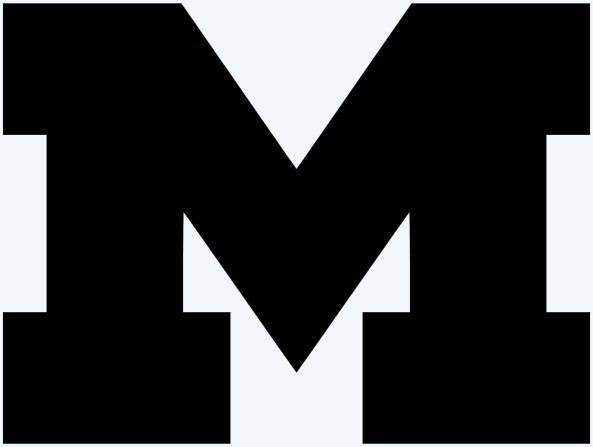 UofM Michigan Block M Vinyl Decal Sticker – You choose color and size